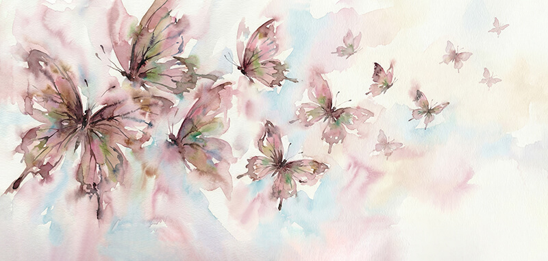Blushwings