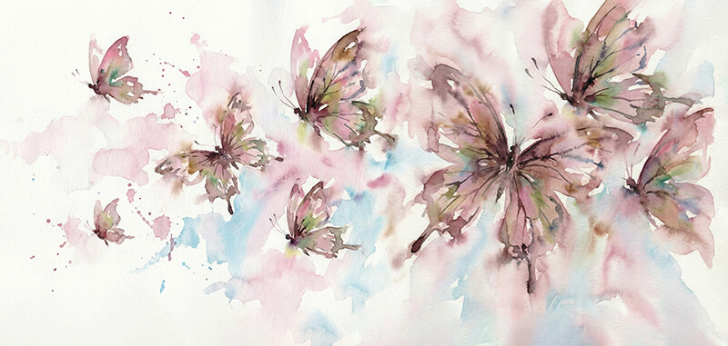 Blushwings